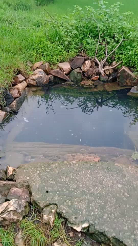 पत्थलगांव: @#इतना गंदा पानी पीने के लिए  बटुराबहार के ग्राम वासी मजबूर.. #