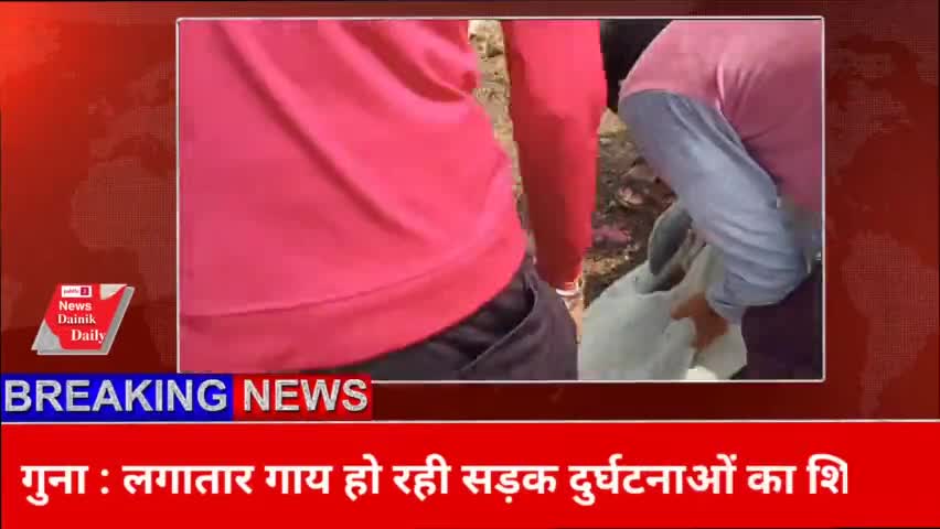 गुना नगर: लगातार गौमाता हो रही है सड़क दुर्घटनाओं का शिकार नानाखेड़ी बाईपास रोड का मामला । 
#guna #गौमाता