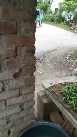 ग्राम घोंघरी में आशा कर्मचारी लोगों को सवारी के रूप में एंबुलेंस में ले जा रहे हैं।#healthminister #yogiaditnath