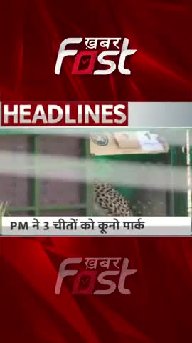PM ने 3 चीतों को कूनो पार्क में छोड़ा 

#khabarfast #kunonationalpark #pmmodibirthday #cheetahs #shorts