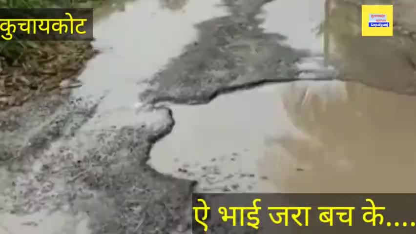 कुचायकोट: #कुचायकोट के #भाठवां_सिसवां सड़क पर गड्ढा है गड्ढे में सड़क, सिस्टम को पता ही नहीं है..  #kuchaikotenews  #akkanu.gpj