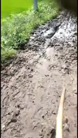 ग्राम  गैरी गैरीपंचायत ब्राह्मणा थाना जिला चतरा झारखंड #chatranews