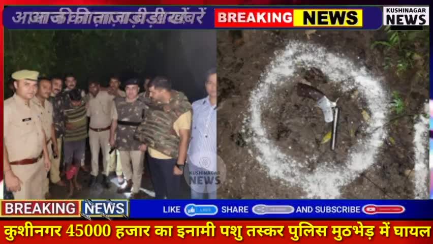 तमकुही राज: कुशीनगर। जिले के तमकुहीराज में  पैंतालीस हजार का इनामी पशु तस्कर पुलिस मुठभेड़ में घायल#kushinagrnews #uppolice