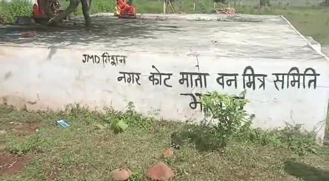 अकलेरा: @#अपना संस्थान ने किया निरिक्षण  नगर कोट माता वन मित्र समिति भालता#