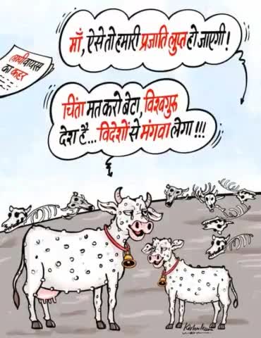 social media par khub viral huaa mims
lampi roag #rajastan #lampi