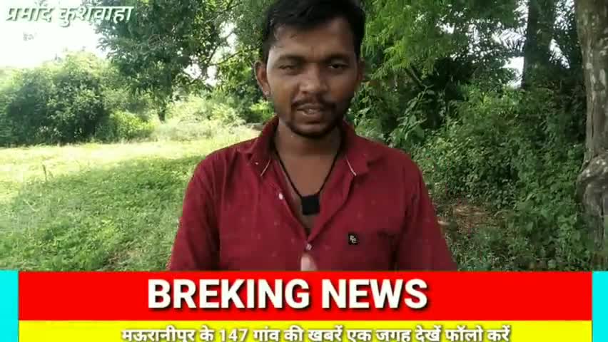 मऊरानीपुर : एक आवास देने पर आठ बार सर्वे किया जाता हैं बिना सोचे आठ चीते ले आए क्या सही है ? #चीते  #कूनोउधान #मोदीजी