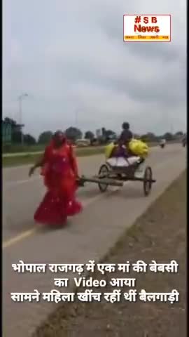 महिला खींच रहीं थीं बैलगाड़ी राजगढ़ में बोली 4 बच्चे हैं पति की मौत हो चुकी l Sbnews  #rajgad #india