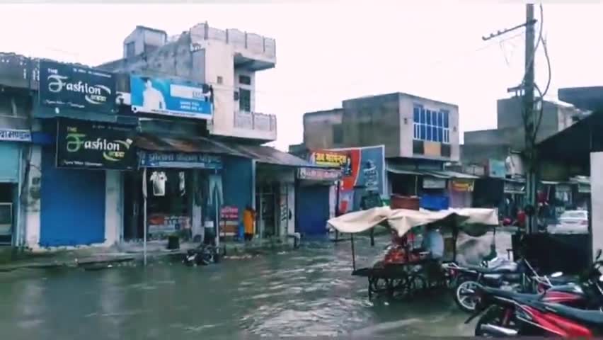 सिंघाना में बरसे मेघा, सड़को पर भरा लबालब पानी #jhunjhunu #singhana #rainning #jhunjhunuupdate #jhunjhununews #rajasthan
