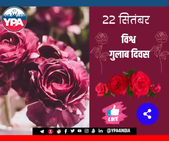 दोस्तों हम कई तरह के रोज़ डे मनाते हैं।🤭 एक रोज़ डे आज भी है.
YPA सभी कैंसर पीड़ितों और उनके परिवार वालों को रोज़ डे के अवसर पर सहानुभूति व्यक्त करता है, और सबके जल्द स्वस्थ होने की कामना करता है..
#roseday #love  #rose  #roses