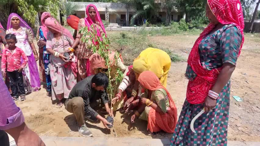 #barmer
नेहरु युवा केन्द्र बाड़मेर मे ग्रीनमैन का मिशन ग्रीन बाड़मेर के तहत पौधरोपण कार्यक्रम

#ग्रीनबाड़मेर #greenbarmer 
#मिशनग्रीनराजस्थान #डेजर्टबाड़मेर #greenmanofbarmer