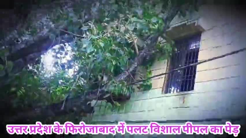 फिरोज़ाबाद: उत्तर प्रदेश के फिरोजाबाद में पलटा सालपीपल का पीईडी बहुत बुरी हाल #firozabad_city #