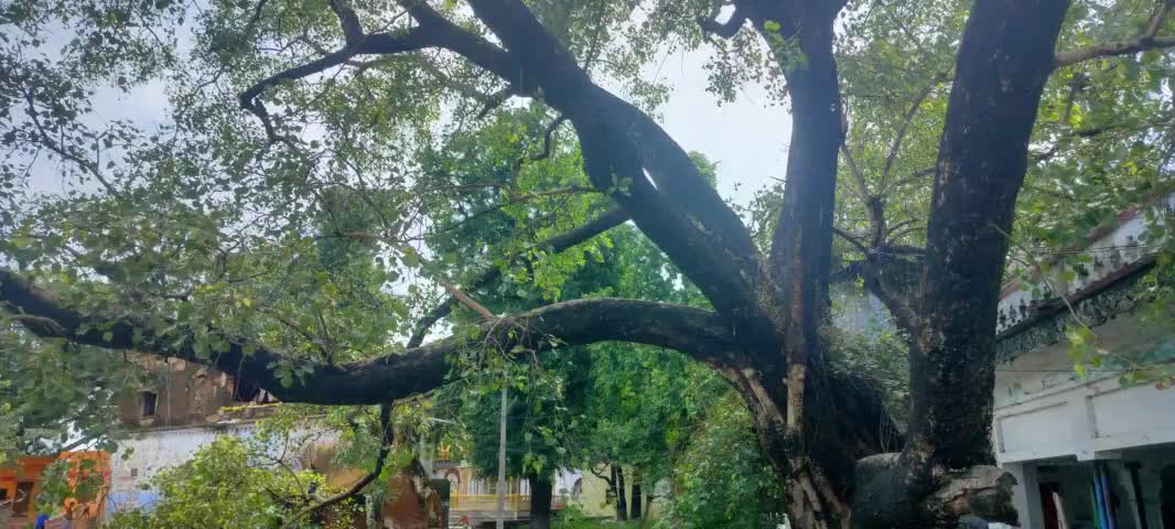 #lakhimpurkheri #uppcl #dmkheri