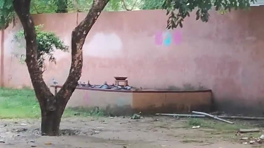 #delhi #यूट्यूब #योगीभारतवासियों से  कि गोवंश की पशु पक्षी की सेवा के लिए सभी लोग आगे आए 8755091361