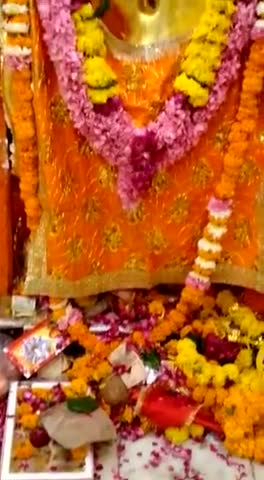 #delhi #hanuman #यूट्यूब #Yogi कि गोवंश की पशु पक्षी की सेवा के लिए सभी लोग आगे आए 8755091361