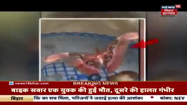 बगहा में मिला दुनिया का सबसे बड़ा कीट। स्थानीय लोग देवी मानकर कर रहें पूजा।#news18india #news #news_भारत #news24
