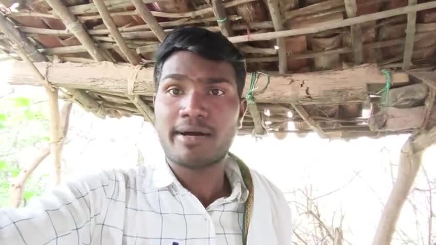 सूरजपुर :- छत्तीसगढ़ के कैबिनेट मंत्री माननीय टीo एसo सिंहदेव जी कहां गए जब पेड़ों की कटाई शुरू कर दी गई । #हसदेव_अरण्य आपका युवा साथी बीपीएस पोया