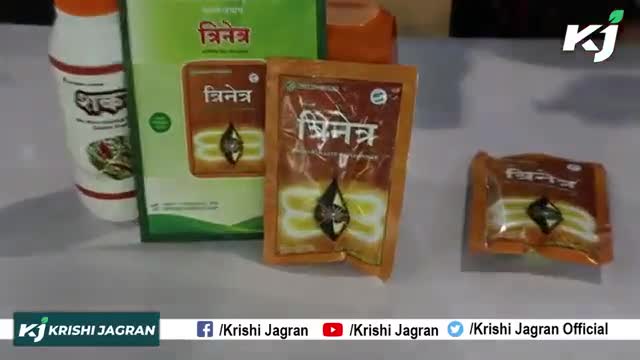 Crop Waste को मात्र 30 दिन में बना देगा खाद, पराली का सबसे सस्ता समाधान, जानिये क्या है त्रिनेत्र ?
#Krishijagran #crop