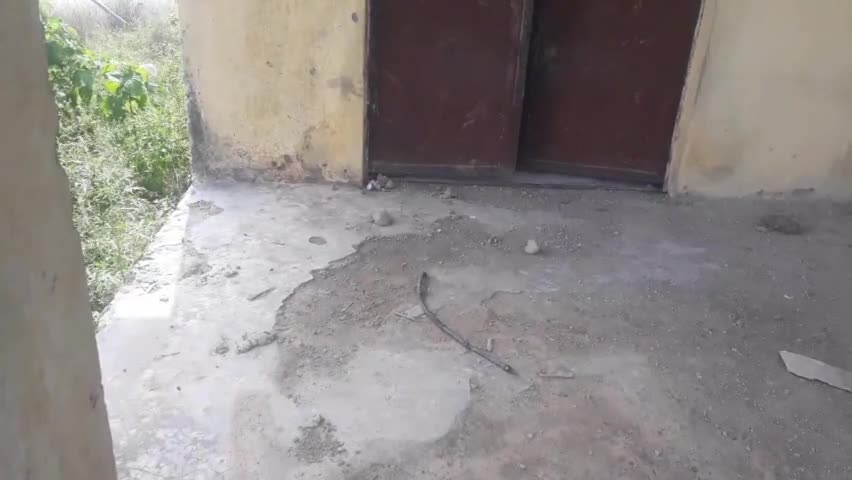 बलरामपुर:आगनवाडी केंद्र बघेलखण्ड बदहाली का शिकार टूटे दरवाजे और गन्दगी से बुरा हाल#आँगन वाड़ी केंद्र# बदहाली#जिम्मेदार