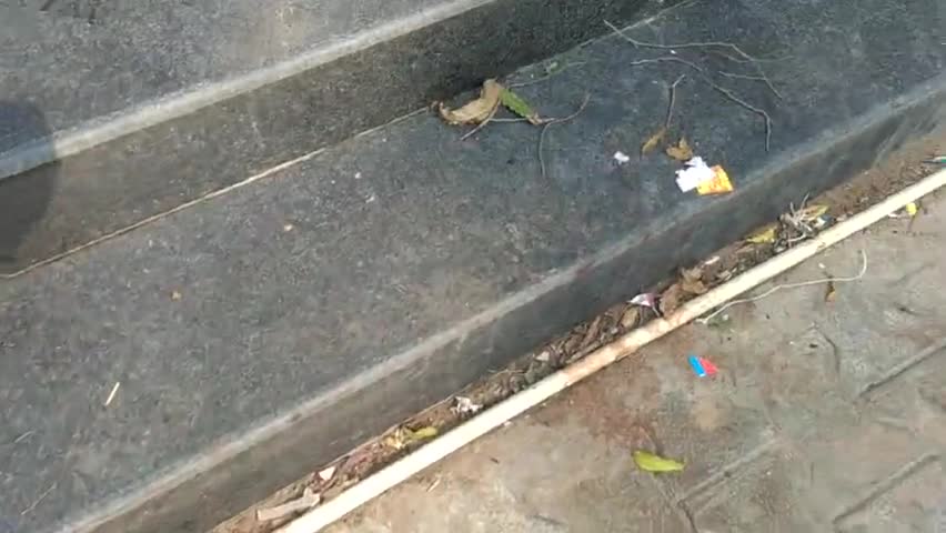 स्वच्छता अभियान की उड़ाई गई धज्जियां गंदगी में ही गांधी जी पर डाली मालाएं
#मैनपुरी #बेवर #भोगांव #किशनी #करहल #कुसमरा