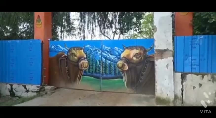 क्या गोवंश की आड़ में हो रहा करोड़ों का घोटाला, सरकार की सख्त नीति के आगे गोवंश बेहाल #umeshbharg #kanpurnagar #kanpur