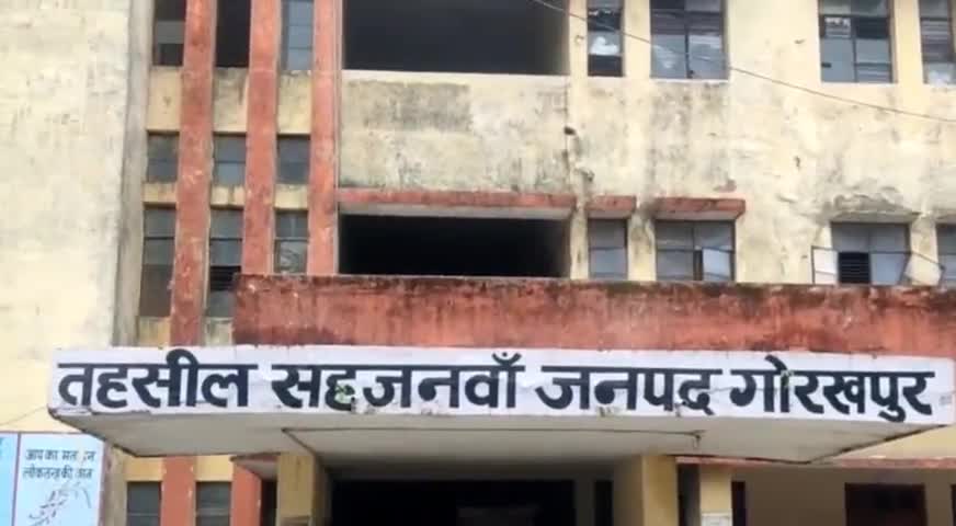 सहजनवा: बारिश के कारण पाली विकासखंड के रंदौली गांव में संपर्क मार्ग कटा #आवागमन_बाधित