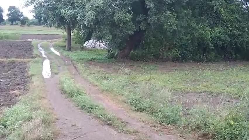 आगर जिले के ग्राम आक्या भाटी में कल रात जोरदार बारिश के बाद सुबह का नज़ारा।
किसान की फसल को बारिश ने किया ख़राब।
#आगर