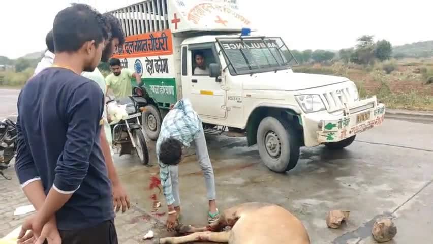सिहोड़ में घायल बछड़े का युवाओं ने करवाया उपचार
#jhunjhunu #jhunjhununewz #khetri #khetrinews #sihor #news #cowaccident