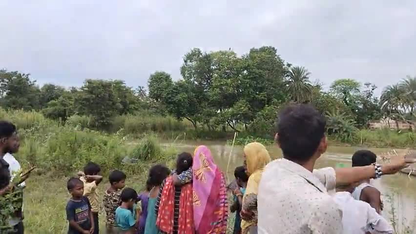 Madhubani Madhepur Gandhi chauk#Gandhi chowk talab mein duba ja fasa Jaal mein bhains