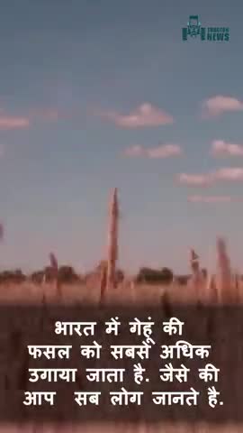 जानिए रीपर कृषि मशीन की खासियत

#machine #agriculture