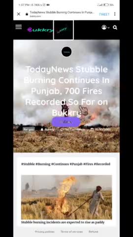 #Haryana #Punjab #stable burning #issue #polution #crime