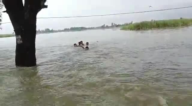 बलरामपुर:उतरौला के पाला में आए बाढ़ में जारहे बच्चे के डूबते देख चौकी प्रभारी उतरौला ने बचाया जान#बाढ़# बच्चा # सराहनीय का