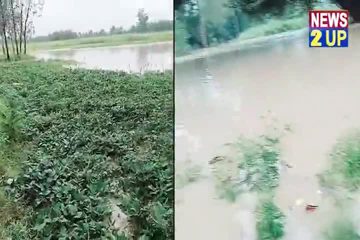 रामपुर: Rampur News: नदियों का लगातार बढ़ रहा है जलस्तर, प्रशासन ने शुरू की तैयारी

#RampurNews #Barish