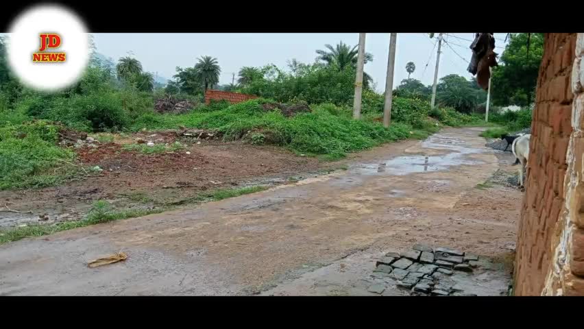 धनबाद/केंदुआडीह: जिला धनबाद यहां पर ग्राम आसाना सिघा सदियों से ना ही कोई चापाकल दिया गया
है #धनबाद #झारखंड #थानातोपच #jharnews