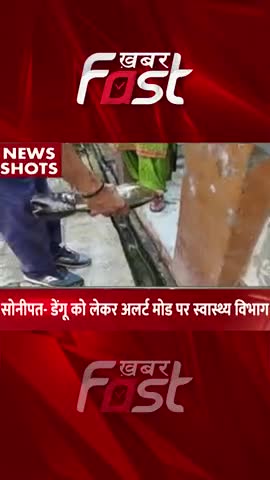 सोनीपत- डेंगू को लेकर अलर्ट मोड पर स्वास्थ्य विभाग
#Khabarfast #sonipat #Dengue #DengueSymptoms #DengueNews #DengueCase