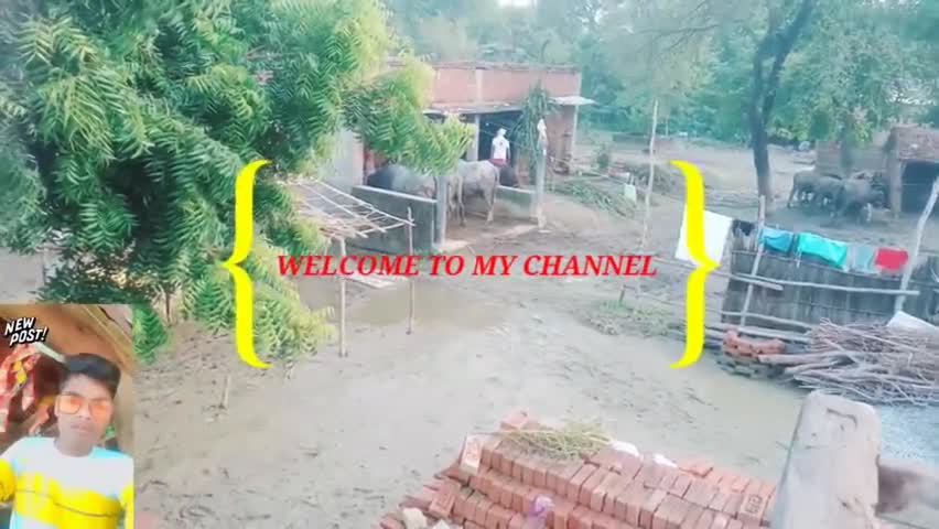 हरैया:हरैया के बस्ती जिले के अशोकपुर गांव मे बाड़ के पानी से बेहाल#बस्ती #हरैया#अशोकपुर #up #utterpradesh
#लखनऊ #basti