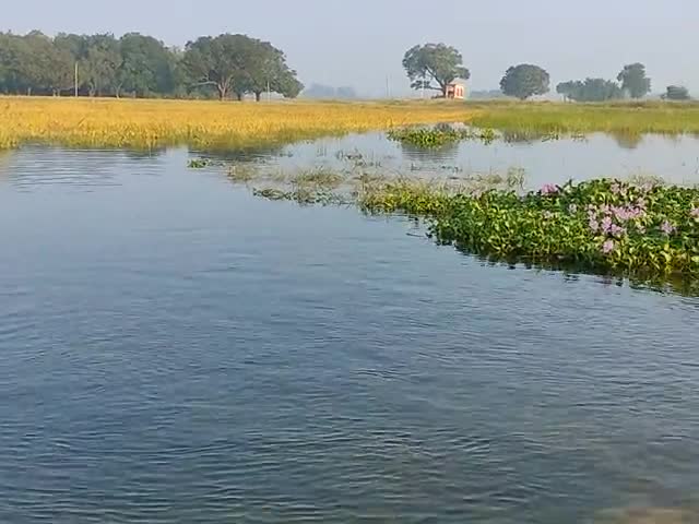 इटवा: ग्राम पंचायत सिरसिया  #डुमरियागंग
#dumariyaganj