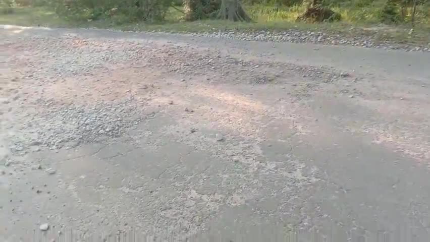 रुदौली से रीच्छघाट जाने वाली सडक पर हुए गड्ढ़ो मे पथर डालने का काम सुरु #newsnations #newsnt24 #news18uputtarakhand