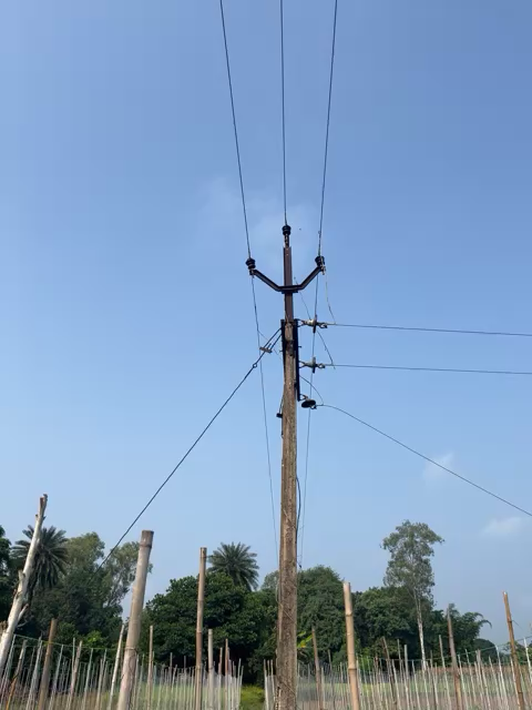 बड़ी खबर।ग्रामीण परेशान किशुननगर-सकालो से ।18 घंटे हो चुके 15-10-2022 शाम 4 बजे से बिजली की तार टूटी #cspdclkohka #newsstatemp @dmsurg#viralvideio