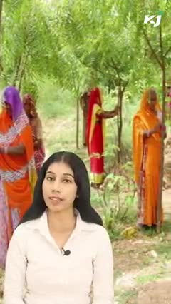 इस गांव में बेटी होने पर किया जाता है कुछ ऐसा...जानकर हो जायेंगे हैरान

#daughters #agriculture