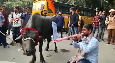 गौतम बुद्ध नगर: #वाराणसी के BHU में फीस वृद्धि को लेकर दिखा अनोखा विरोध प्रदर्शन, छात्रों ने VC के खिलाफ लगाए मुर्दाबाद के नारे। #BHU