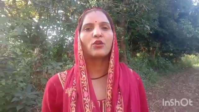 देखिये इस वीडियो में की कैसे करें अदरक की खेती | #gingerfarming #Farming
#ftj #farmerthejournalist #adrakkikheti