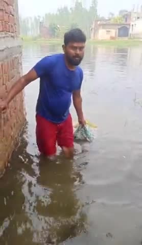 #_गहरे_पानी में #डुबने से एक  #दादी मां का #मौत हो गया , दादी मां 
पिपरी ग्राम सभा कि थी _ 
बड़े भईया धीरज ने निकला बाहर