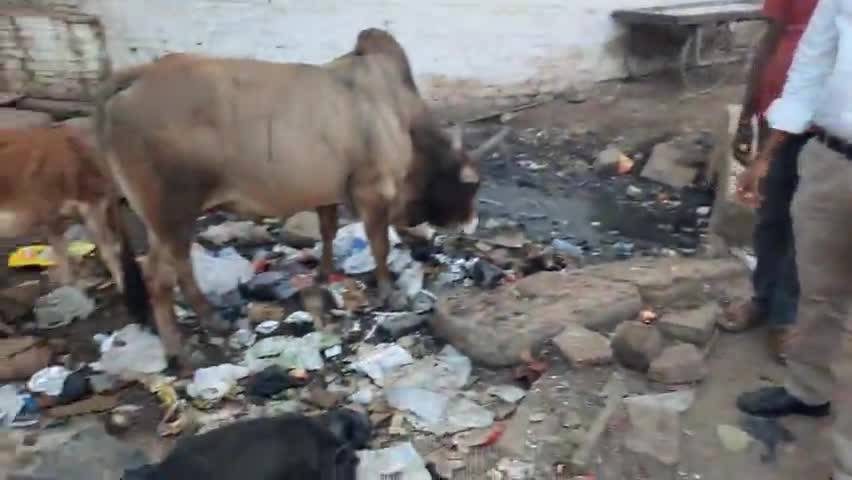 #शिवराज जी के राज में, नरक में तब्दील भाजपा शासित नगर पालिका #सबलगढ़ क्षेत्र, जारी रहेगा आंदोलन -#कर्नल_उमेश_वर्मा