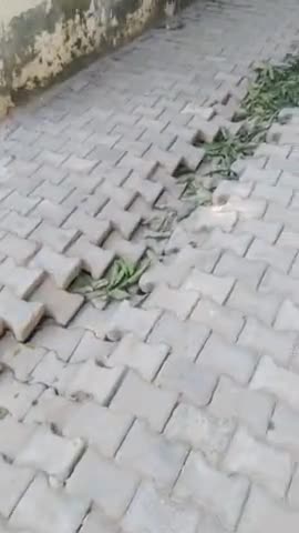 #shortsnews , Govindpuri suchetapuri ki road damage||#reelsfb #modinagar