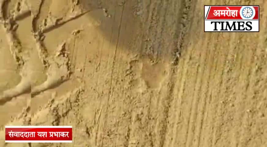 धनौरा: अमरोहा में नहीं थम रहा तेंदुए का आतंक तेंदुए के हमले में बाल बाल बचा युवक यश प्रभाकर #samachartimes #amrohatimes