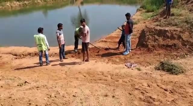 वार्ड नं-01धनहारा में छठ पूजा को लेकर नगर परिषद के सौजन्य से छठ घाट का साफ-सफ़ाई किया गया।#छठ_घाट #छठ_पूजा