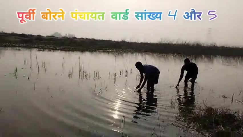 #पूर्वी बोरने पंचायत वार्ड सांख्य 4 और 5
#@छठ पूजा घाट chhath puja ghat
##सोनवर्षा घाट,