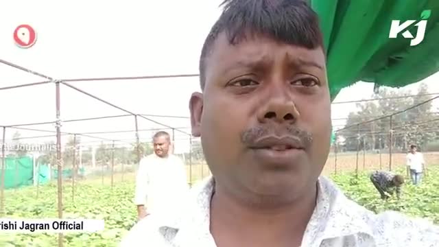 इस वीडियो में देखें खीरे की उन्नत किस्मों के खेती की जानकारी | Cucumber Farming
#kheerekikheti #kheera #cucumberfarming