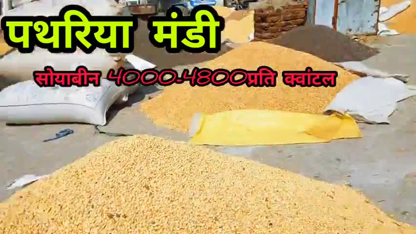 पथरिया मंडी में आज सोयाबीन 4000 से 4800 प्रति क्वांटल के भाव विका  #kartarthakurduhav