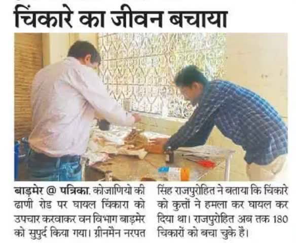 चिंकारा रक्षक ग्रीनमैन 
180वां चिंकारा बचाया
#greenmannarpat